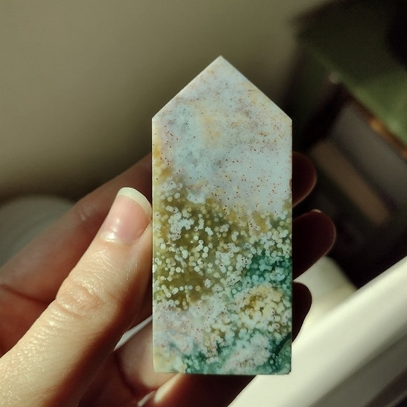 Ocean Jasper Tower 10 - Picture 8 of 14